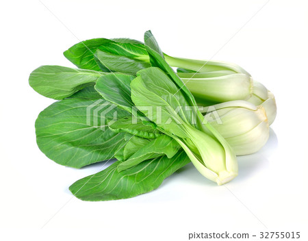Bok choy (chinese cabbage) isolated on white 32755015