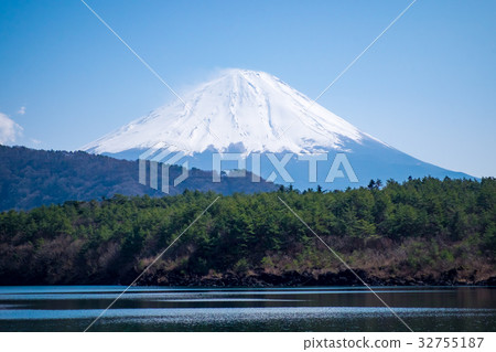Mt Fuji view from the lake with forest Mt Fuji view from the lake with forest 32755187