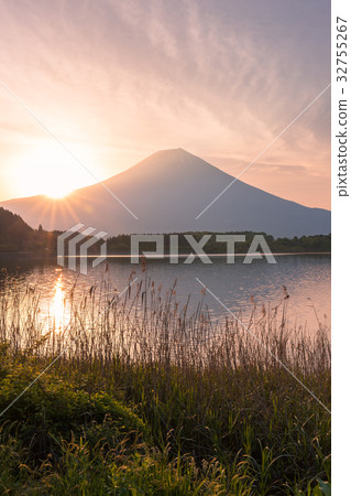 Morning of Lake Tanuki 32755267