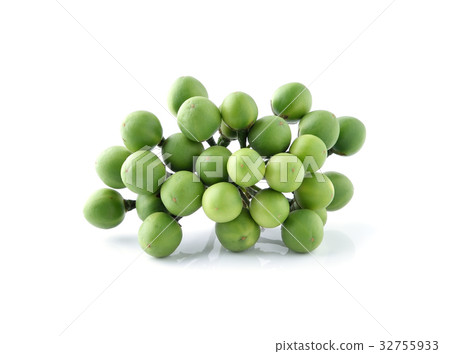Eggplants on white background Eggplants on white background 32755933