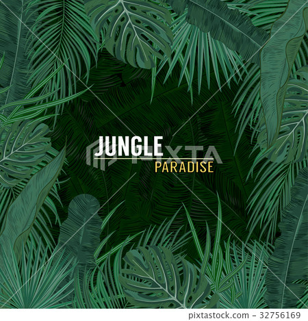 Green summer tropical background with exotic palm Green summer tropical background with exotic palm 32756169