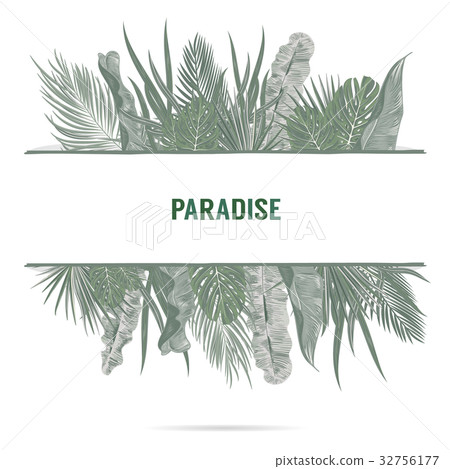 Trendy Summer Tropical Leaves Vector Design - Stock Illustration ...