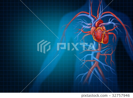Cardiology And Cardiovascular Heart Concept 32757946