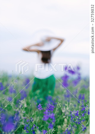 Girl with a bouquet of lavender Girl with a bouquet of lavender 32759832
