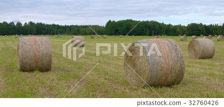 farm hay bales country field meadow landscape farm hay bales country field meadow landscape 32760426