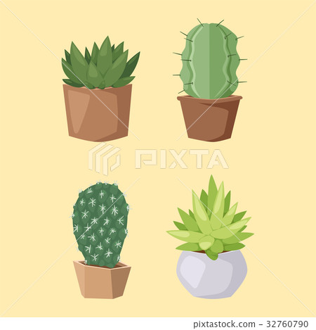 Cactus nature desert flower green mexican Cactus nature desert flower green mexican 32760790