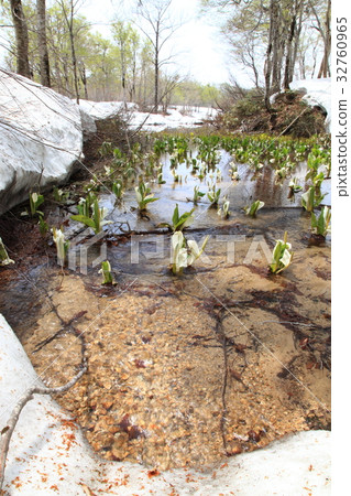 Melting snow on the moon 32760965