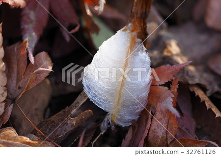 Simovassilla 32761126