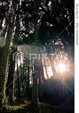 Woods light Woods light 32762156