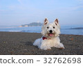 威斯特海6 32762698