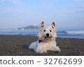威斯特海7 32762699