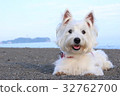Westy Sea 8 32762700