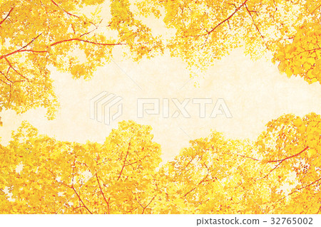 Forest and sky _ autumn 32765002