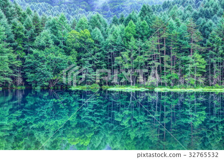 Deep green shooting pond 32765532