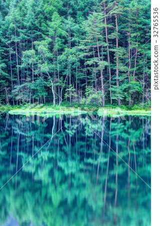 Deep green shooting pond 32765536