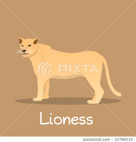 Lioness in Africa illustration design  32766533