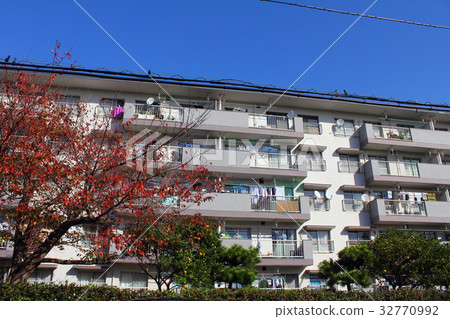 Wakamatsu Complex Wakamatsu Complex 32770992