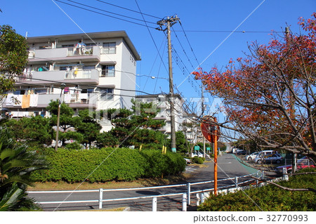 Wakamatsu Complex Wakamatsu Complex 32770993