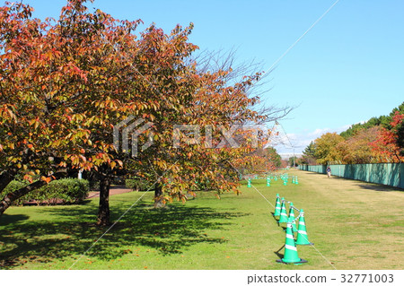 Wakamatsu Complex 32771003