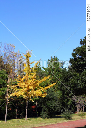 Wakamatsu Complex Wakamatsu Complex 32771004