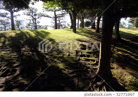 Wakamatsu Complex 32771007