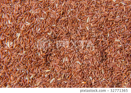 Riceberry rice or Thai black jasmine rice Riceberry rice or Thai black jasmine rice 32771365