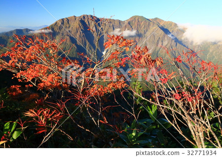 Nanakado autumn leaves and Tanigawadake on the Shirage gate ridge line 32771934