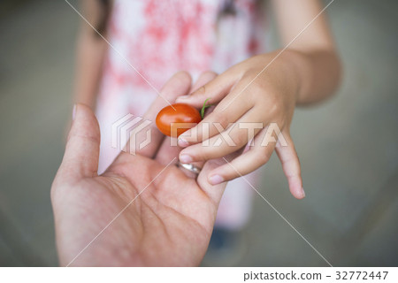 Parent and child handing small tomato Parent and child handing small tomato 32772447