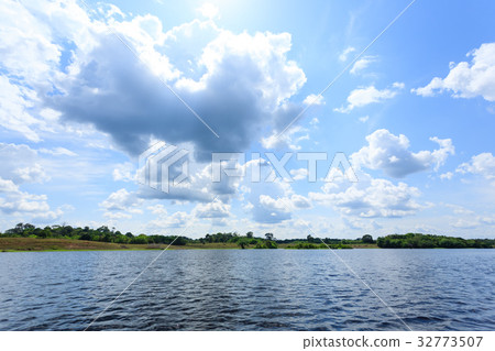 Panorama from Amazon rainforest,Brazilian wetland 32773507