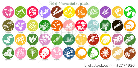 Big set of 44 flat essential oil labels. White 32774926