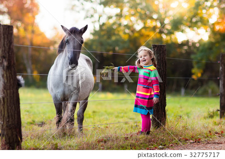 Little girl feeding a horse 32775717