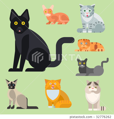 Cats vector illustration cute animal funny 32776262