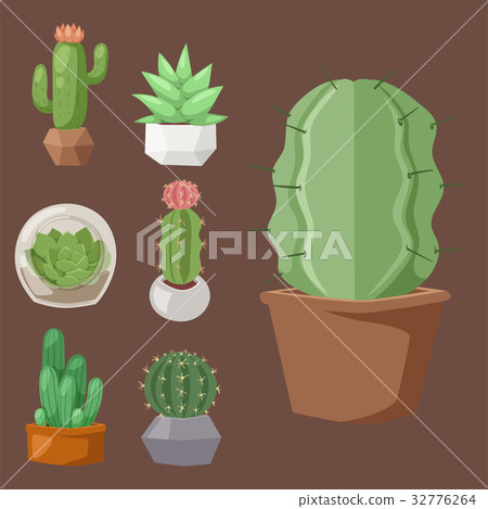 Cactus nature desert flower green mexican 32776264