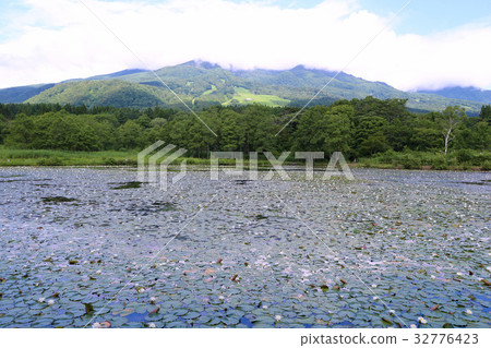Myoko Kogen Imori Pond 32776423