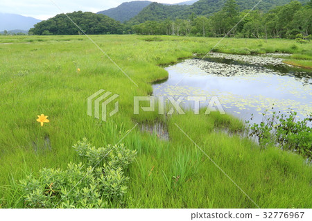 Ozegahara Ikejima in summer 32776967