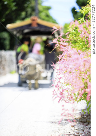 竹富島水牛城 32777224