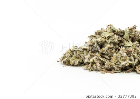 Coltsfoot: Coltsfoot leaves 32777392