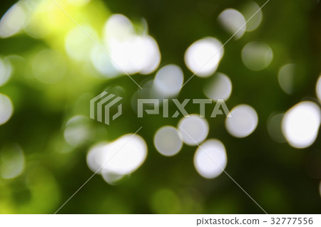 Bokeh natural color background Warm Filter leaf Bokeh natural color background Warm Filter leaf 32777556