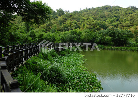 台灣新北市金龍湖湖岸木棧道 台灣新北市金龍湖湖岸木棧道 32777710