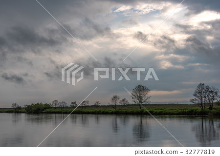 Summer wet area 7 when the rain stopped 32777819