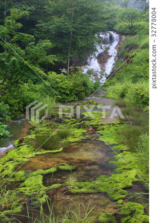 Chabo Mokeke Park 32778004