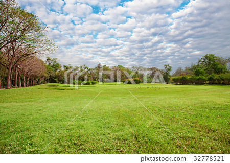 wide lawn in the park with beautiful sky wide lawn in the park with beautiful sky 32778521