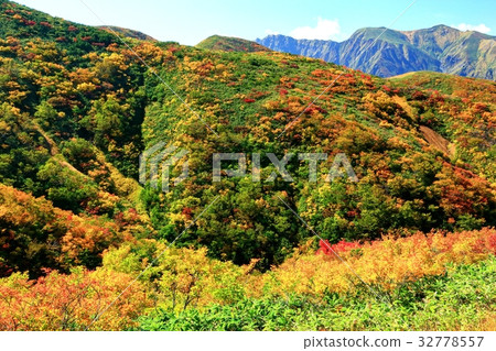 Autumn leaves and Tanigawa mountain range near Joetsu border and Shimizu Pass 32778557