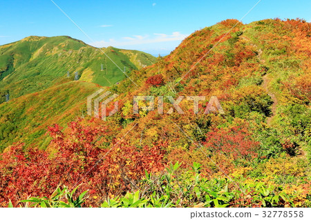 Joetsu border-Shimizu Pass and the autumn leaves of the Seven Huts 32778558