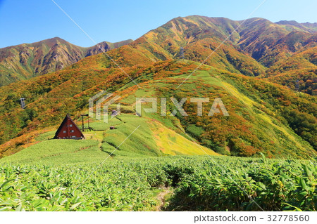 Joetsu Border-Shimizu Pass and Autumn Leaves in Autumn 32778560