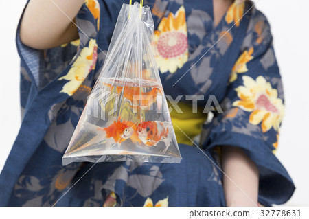 與金魚的浴衣gal 照片素材 圖片 圖庫