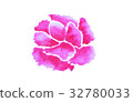 pink flower watercolor on white background 32780033