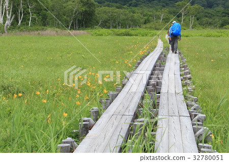 Oze的夏天 Oze的夏天 32780051