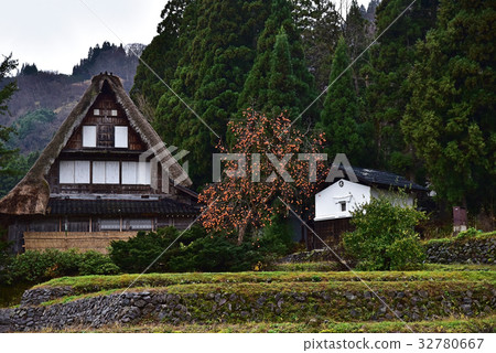 The late autumn Gokayama Ainokura Gassho village 32780667