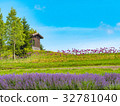 Hokkaido,Summer,Lavender 32781040